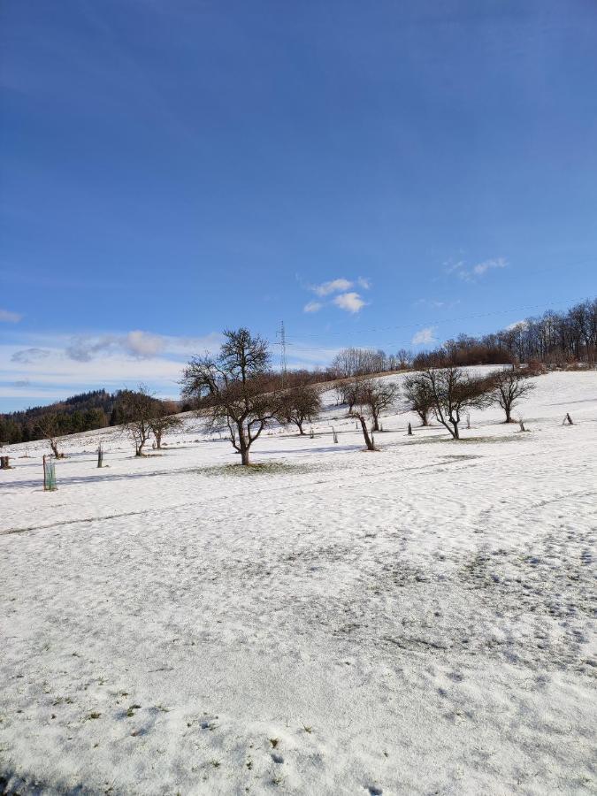 Chata Na Karpackiej Kostrzyca ภายนอก รูปภาพ